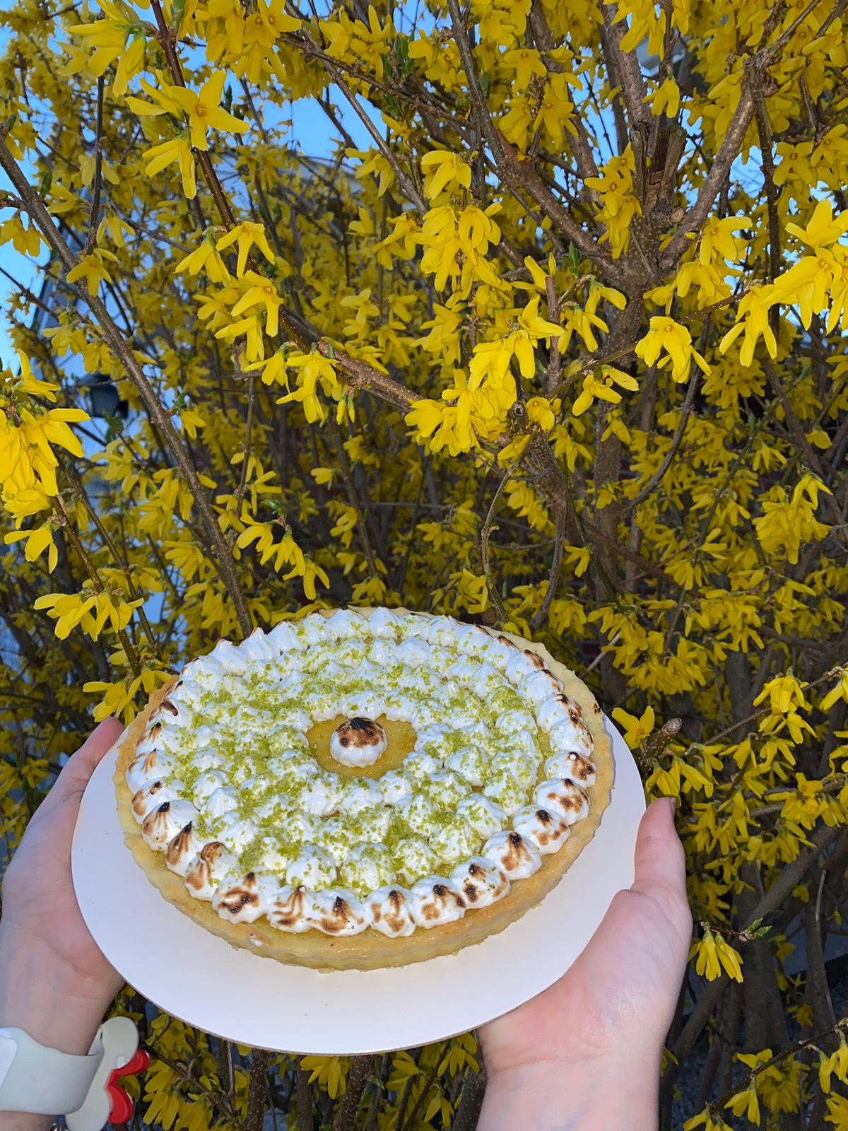 Key Lime Pie for Dessert Lovers in Toronto