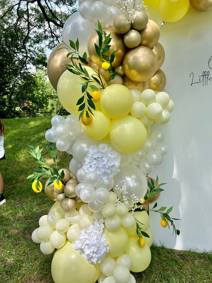 Lemon Balloon Decor for Events in Toronto