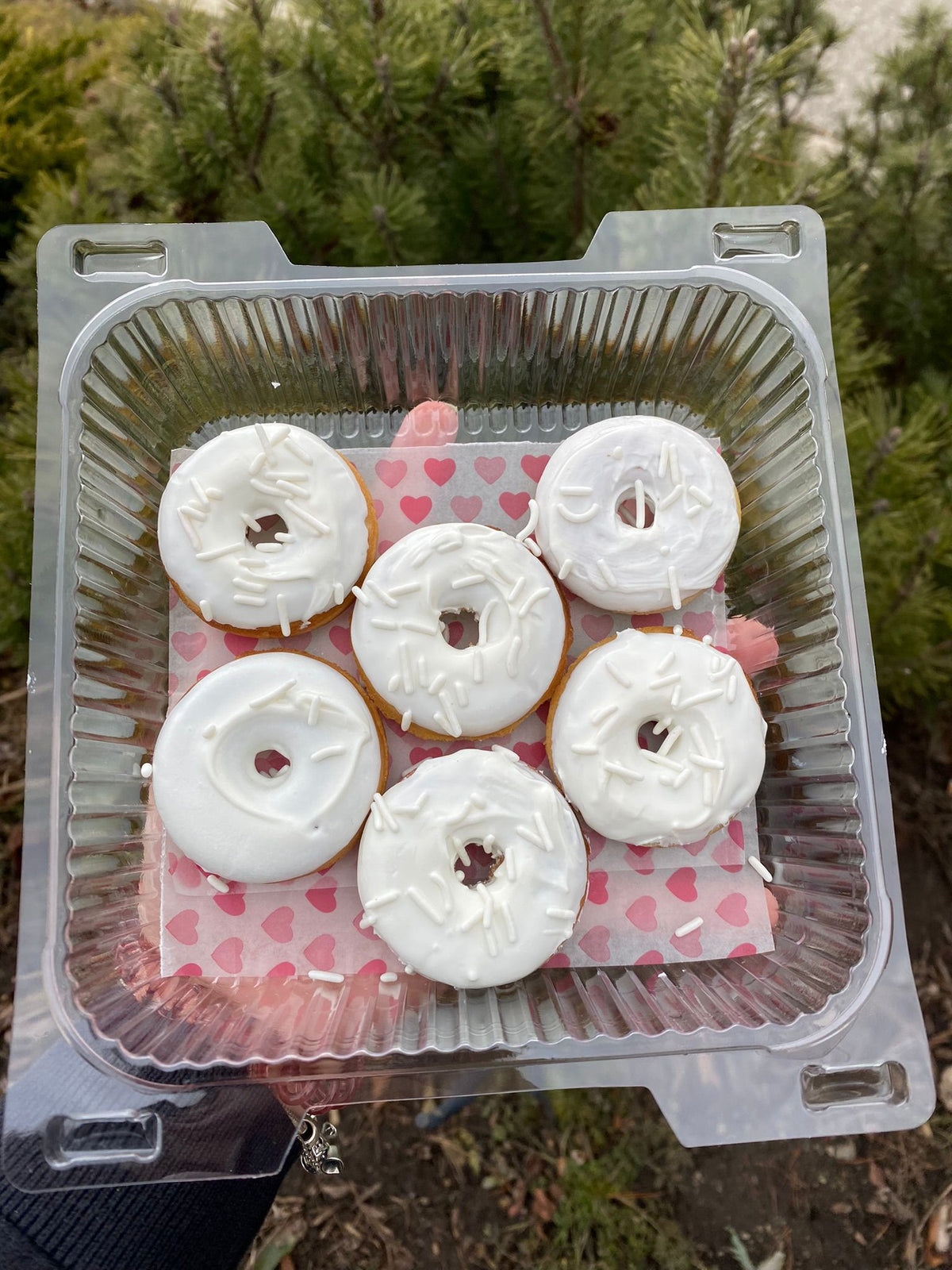 Plastic container with six white frosted donuts on a pink heart-patterned paper against a natural background.